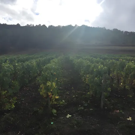 Domaine De La Chambarde
